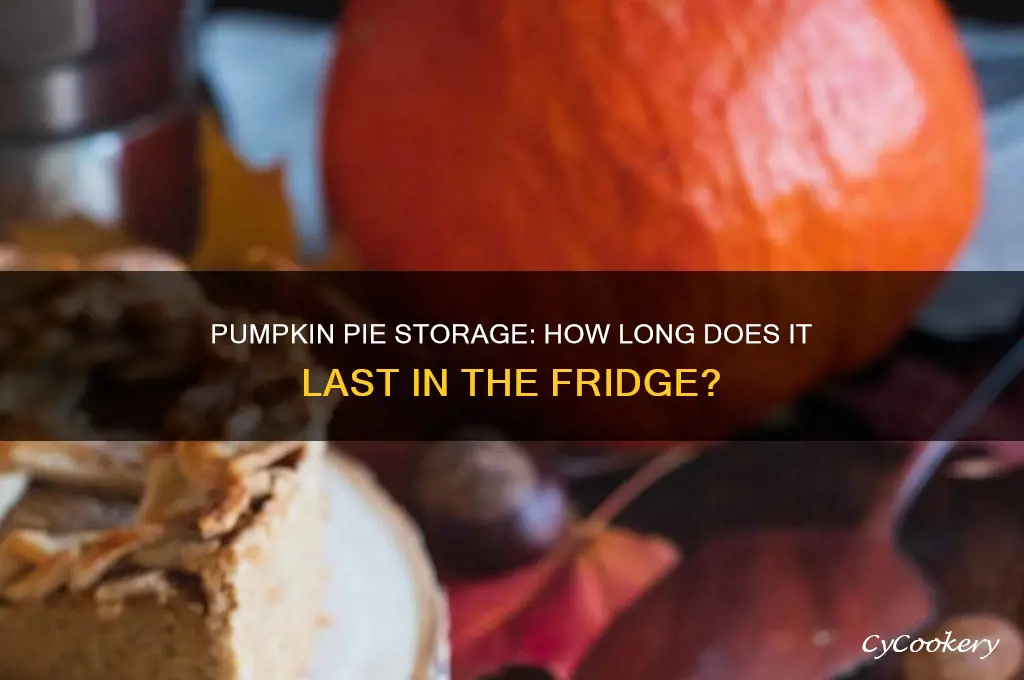 how long can you store pumpkin pie in the refrigerator