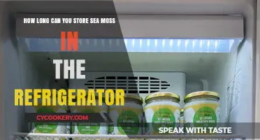 Sea Moss Storage Guide: Refrigerator Shelf Life Explained