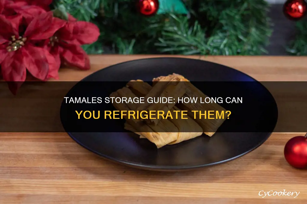 how long can you store tamales in the refrigerator