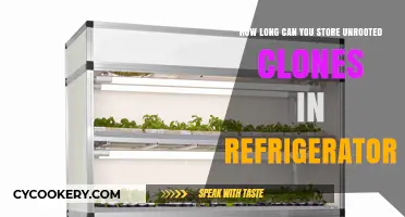 Storing Unrooted Clones: Refrigerator Shelf Life and Preservation Tips