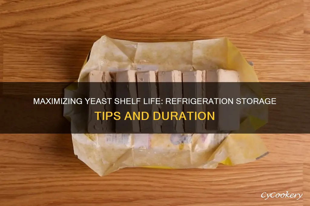 how long can you store yeast in the refrigerator