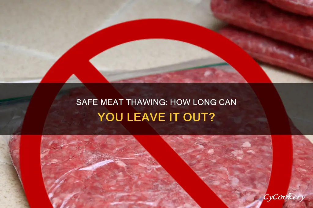how long can you thaw meat out of the refrigerator