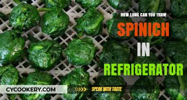 Safely Thawing Spinach: Optimal Refrigerator Defrosting Time Guide
