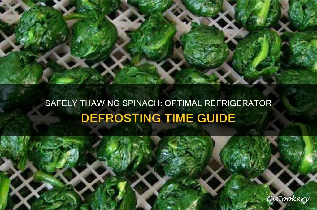 how long can you thaw spinich in refrigerator