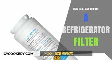Maximizing Your Fridge Filter Lifespan: Usage and Replacement Tips
