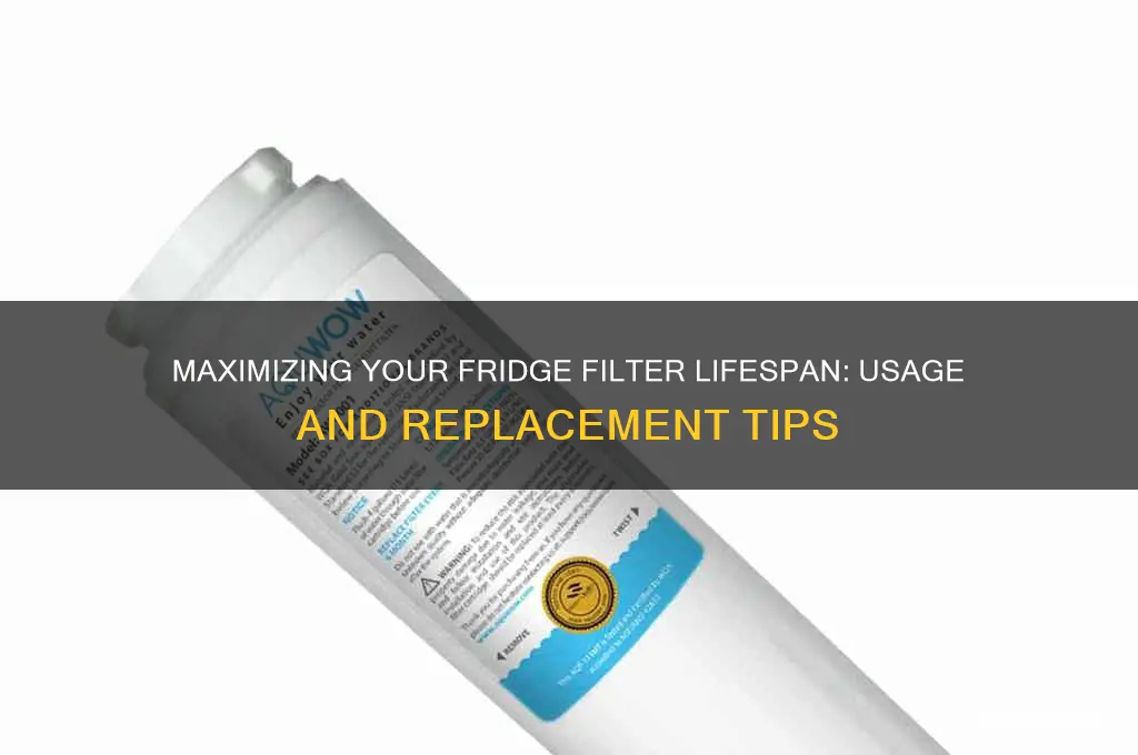 how long can you use a refrigerator filter