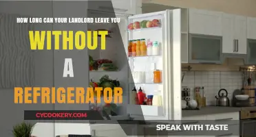 Landlord's Responsibility: How Long Can You Go Without a Fridge?
