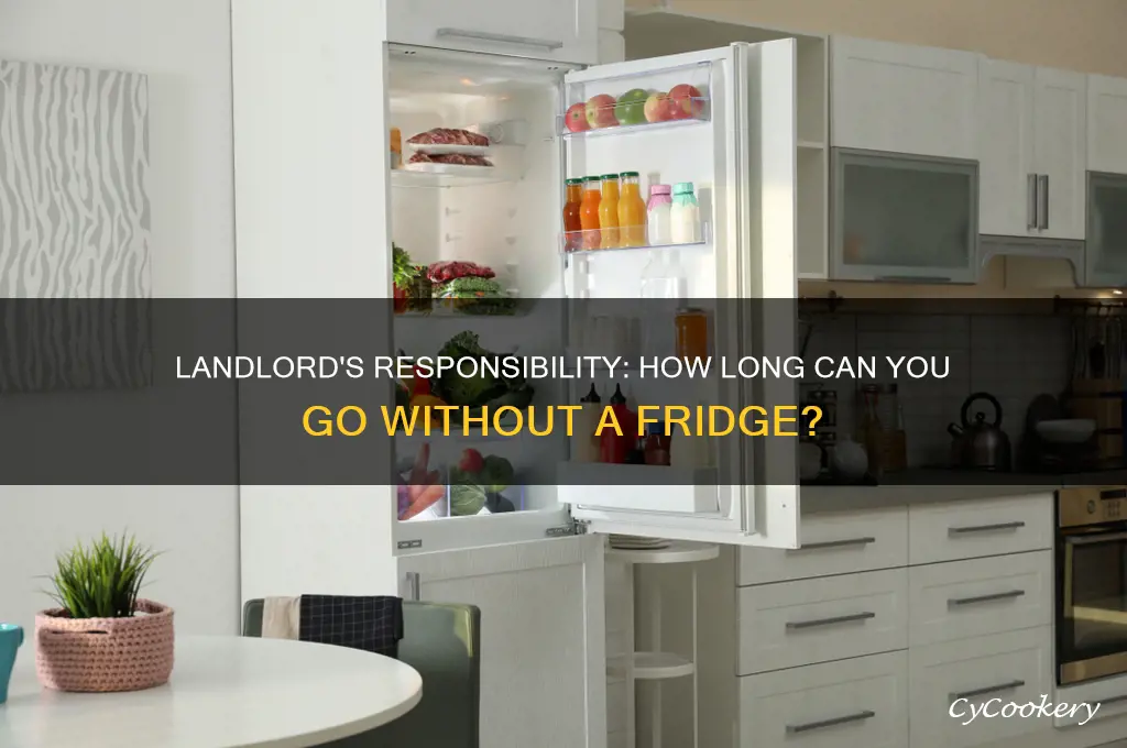 how long can your landlord leave you without a refrigerator