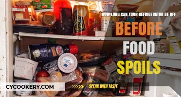 Refrigerator Power Outage: How Long Before Your Food Spoils?