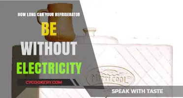 Refrigerator Survival Guide: How Long Can Food Last Without Power?