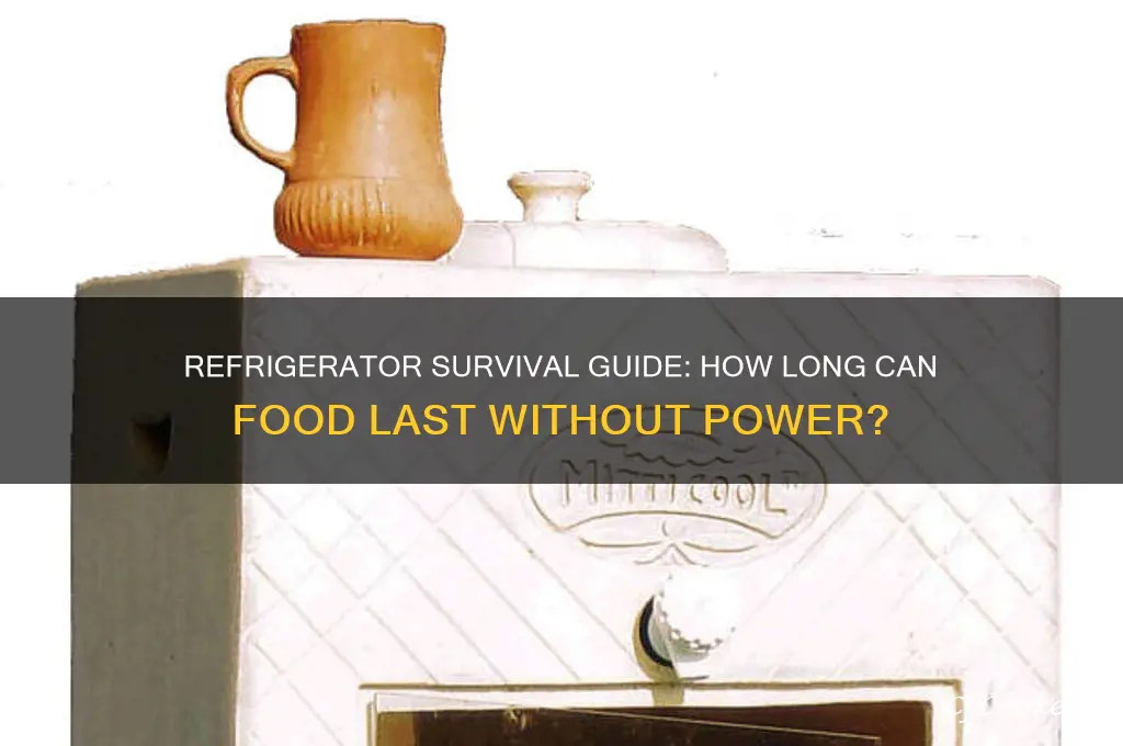 how long can your refrigerator be without electricity