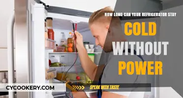 How Long Does Your Fridge Stay Cold After a Power Outage?