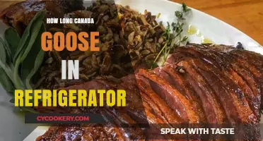 Storing Canada Goose Meat: Optimal Refrigerator Time Explained