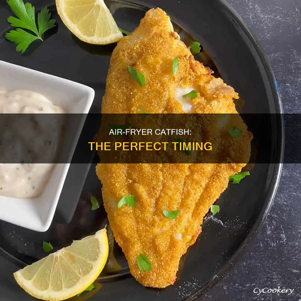 how long catfish in air fryer