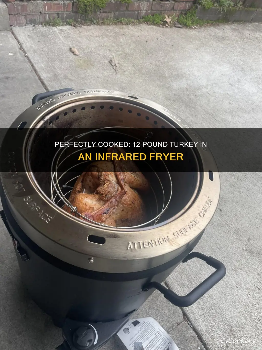 how long cook 12 lb turkey in infrared fryer