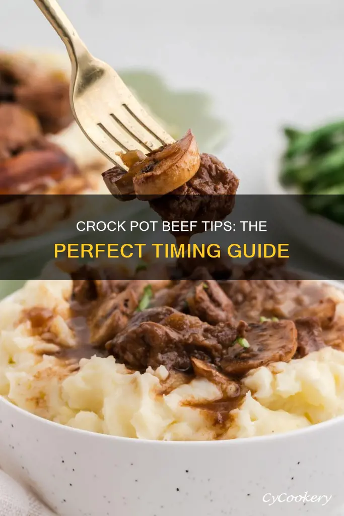 how long cook beef tips in crock pot