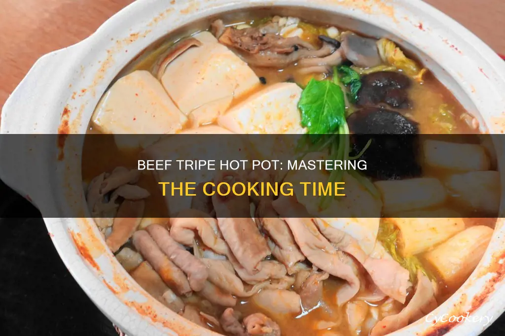 how long cook beef tripe hot pot