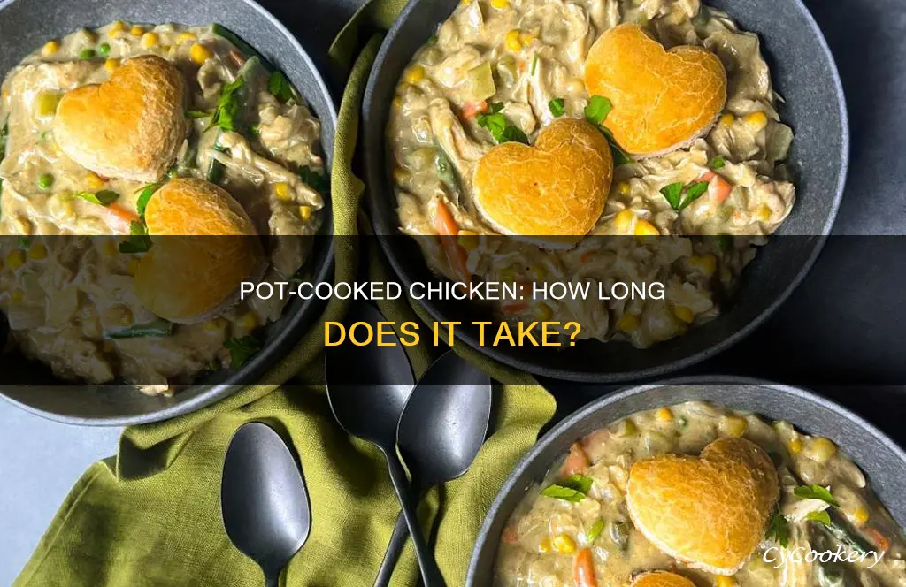 how long cook chicken in pot