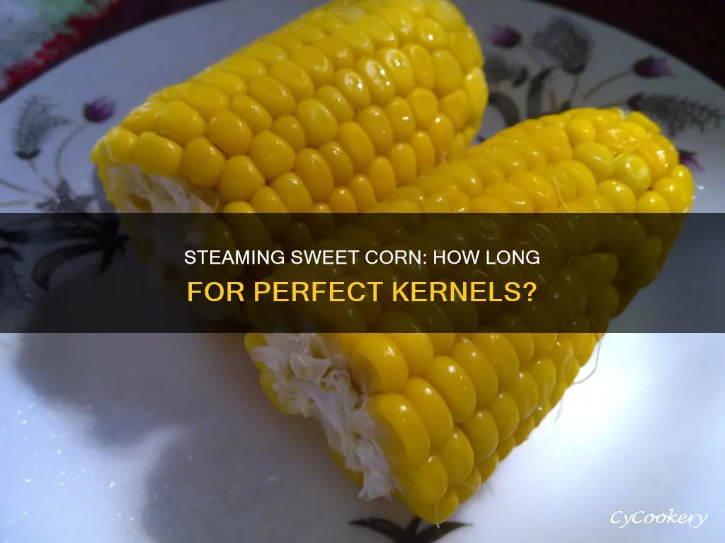 how long cook corn on the cob in a steamer