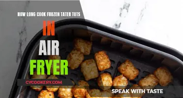 Crispy Tater Tots: Air Fryer Cooking Time Revealed