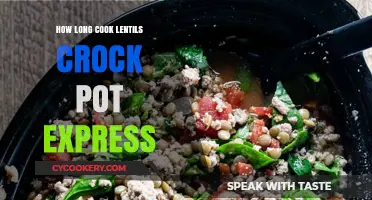 Lentils in a Crock Pot: How Long to Cook?