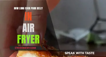 Crispy Pork Belly in the Air Fryer: Time and Temperature Guide