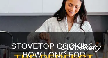 how long cook pot oil stove top