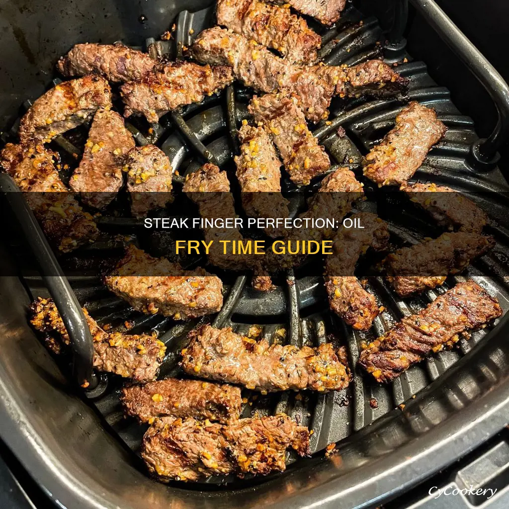 how long cook steak fingers in oil fryer