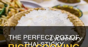how long cook thai sticky rice in a pot