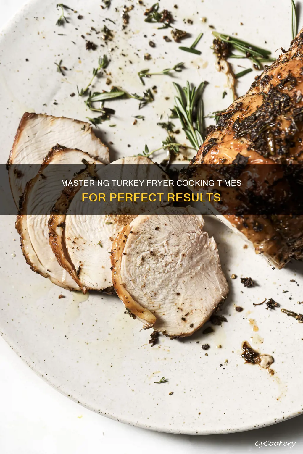 how long cook turkey fryer
