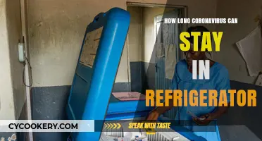 Coronavirus Survival: How Long Can It Stay in Your Fridge?