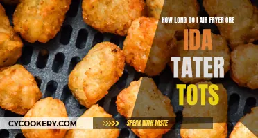 Air Fryer Ore-Ida Tater Tots: How Long to Fry?