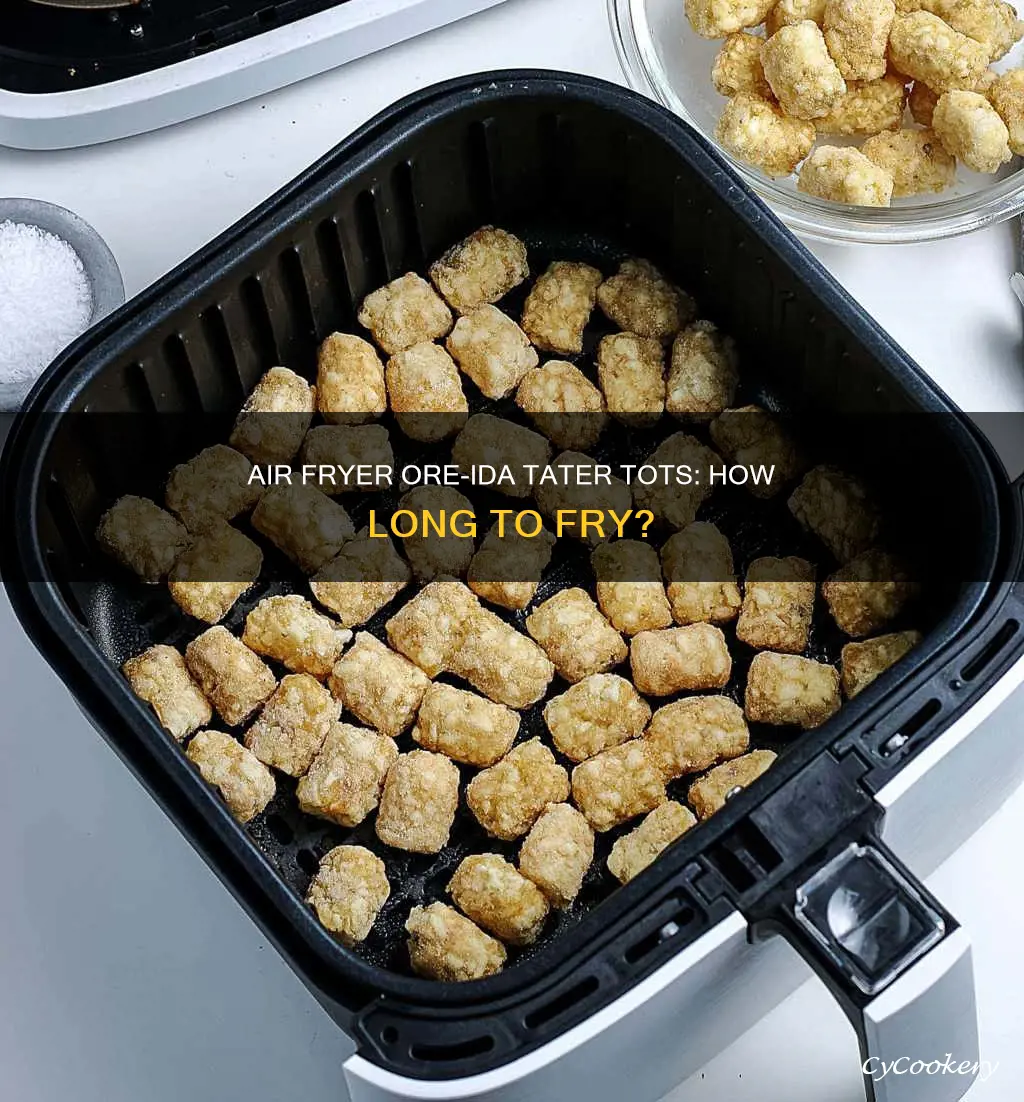 how long do i air fryer ore ida tater tots