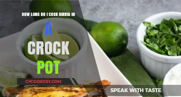 Birria in a Crock Pot: How Long Should You Cook It?