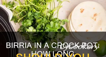 how long do I cook birria in a crock pot