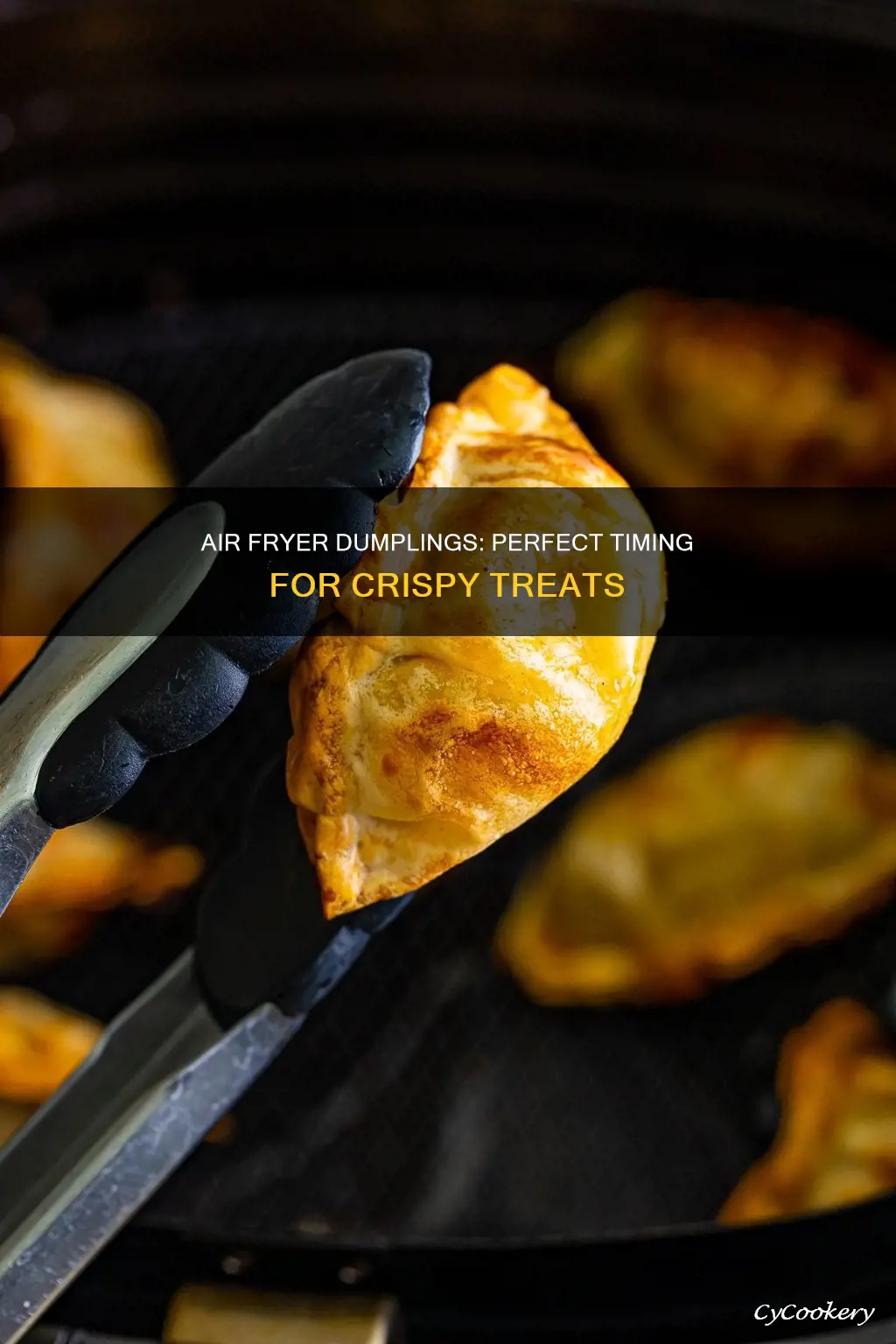 how long do i cook dumplings in air fryer