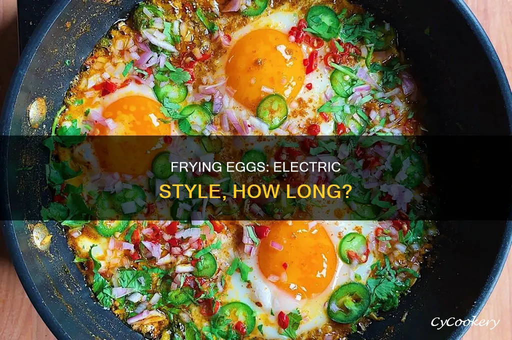 how long do i cook eggs in a electric fryer