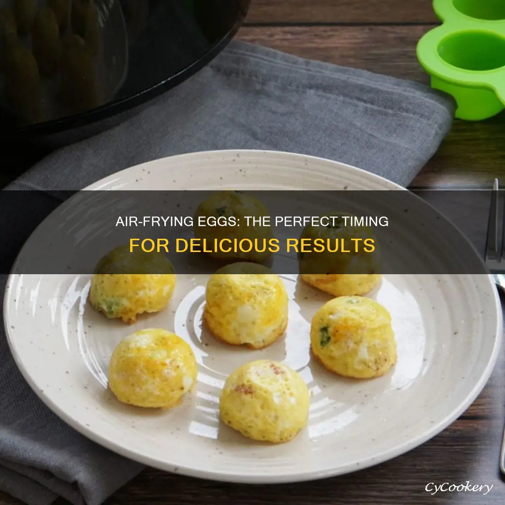 how long do i cook eggs in a proair fryer