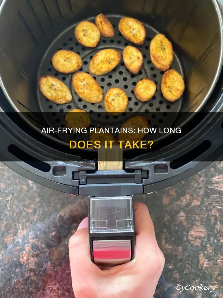 how long do i cook plantains in the air fryer