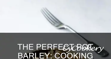 how long do I cook pot barley
