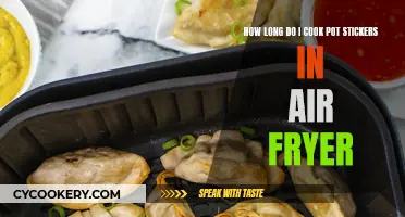 Crispy Pot Stickers: Air Fryer Cooking Time Guide