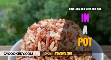 The Perfect Red Rice: Cooking Time and Techniques