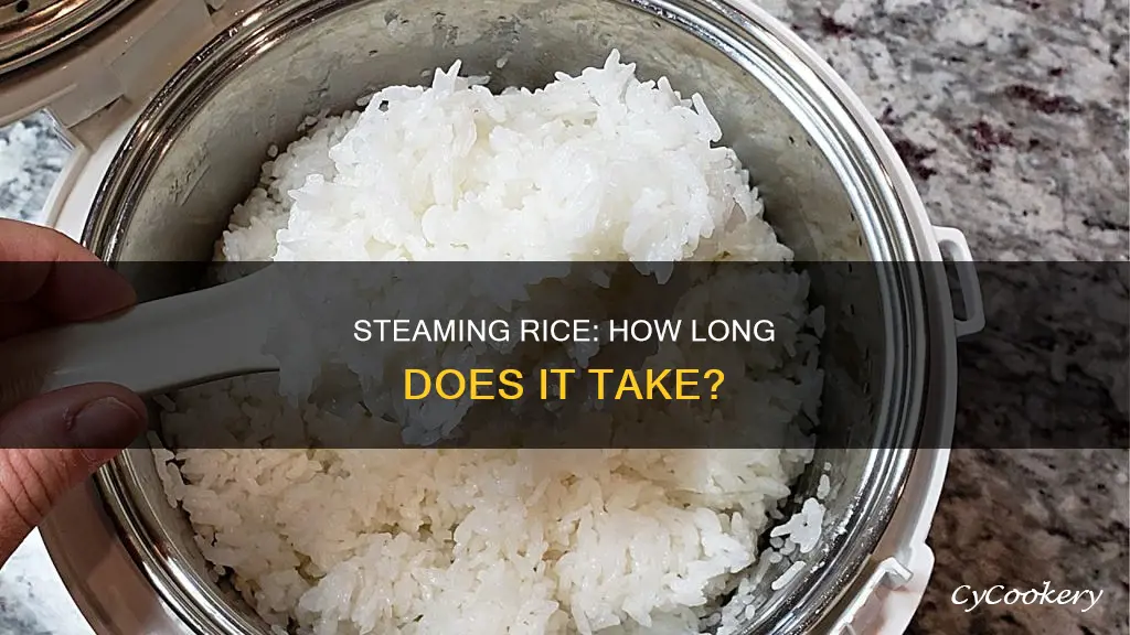 how long do i cook rice in a steamer