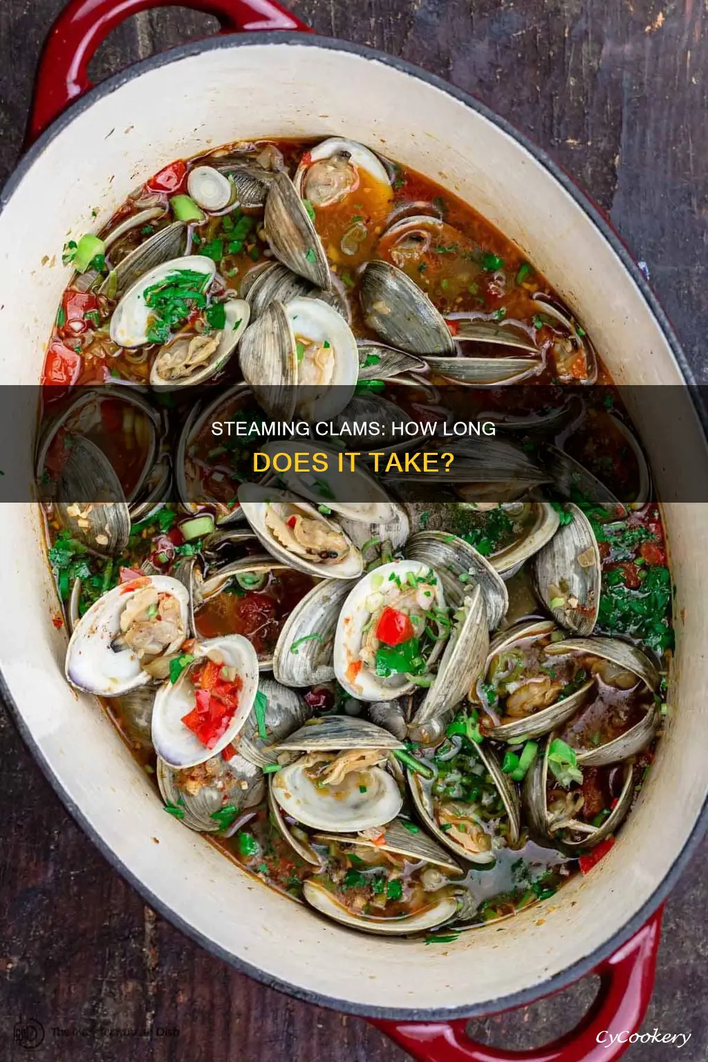 how long do i cook steamed clams