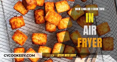 Crispy Tofu in the Air Fryer: Quick and Easy Guide