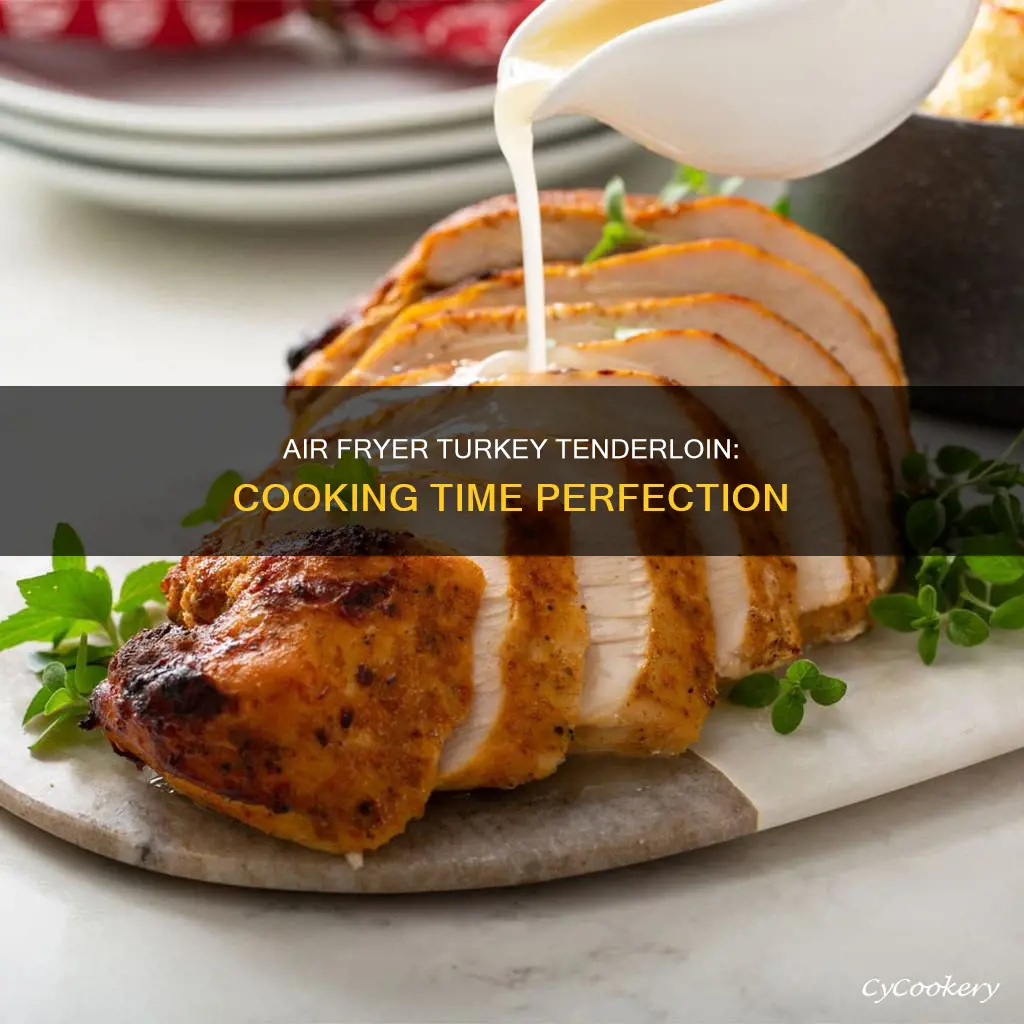 how long do i cook turkey tenderloin in air fryer