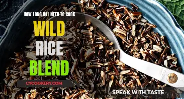 Cooking Wild Rice Blend: How Long Does It Take?