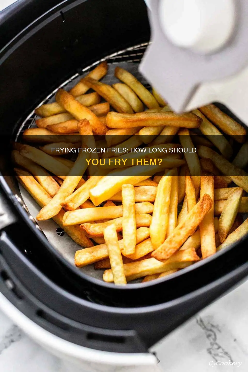 how long do i put frozen fries in the fryer