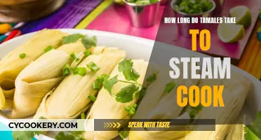 Steaming Tamales: How Long Does It Take?