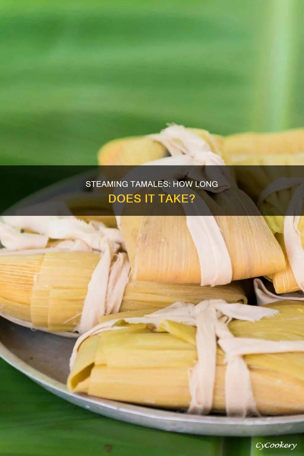 how long do tamales take to steam cook